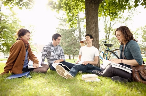 Bachelor management : cursus et opportunités